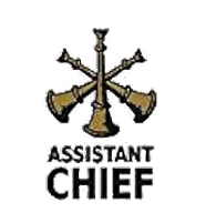 Assistant Chief Rank Image