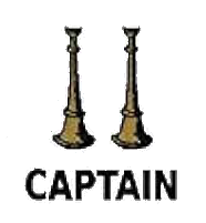 Captain Rank Image